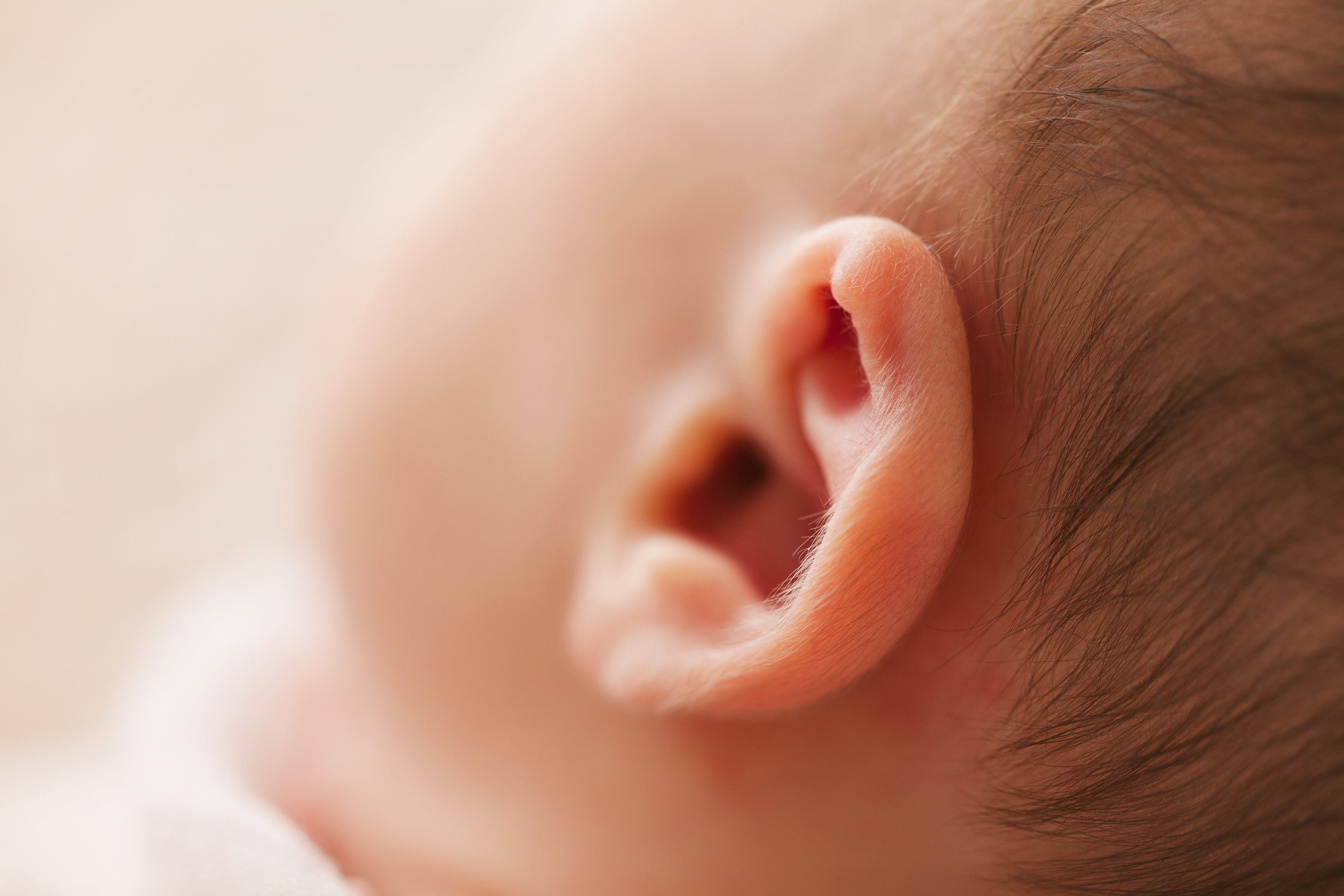 baby-child-ear-374765.jpg